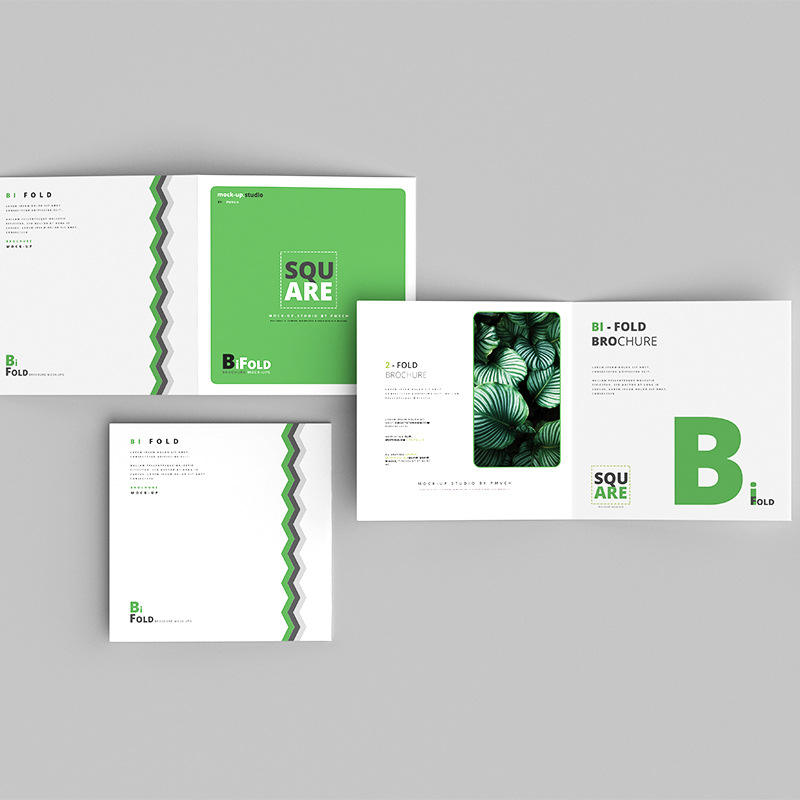 Commercial Printing Business - Individueller Vollfarbiger Flyer- und Broschürendruck A3