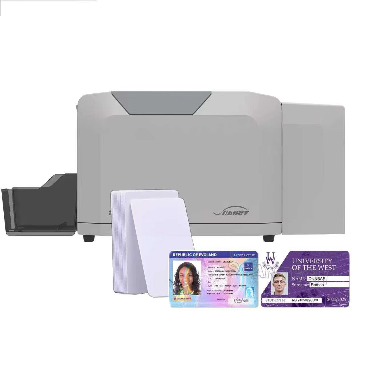 Commercial Printing Business - Seaory S28 Kunststoff-PVC-ID-Kartendrucker mit Beidseitigem Druck